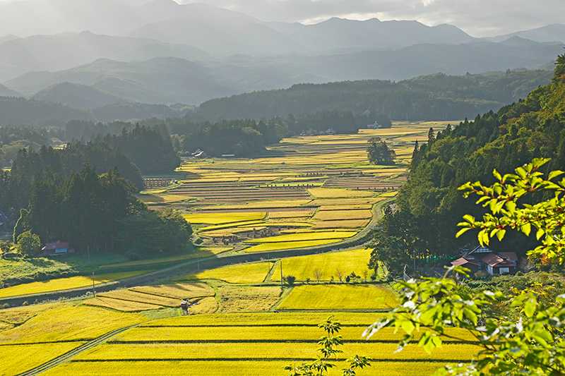 骨寺村荘園遺跡