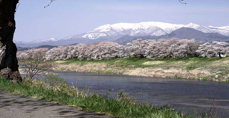 白石川堤一目千本桜/船岡城址公園