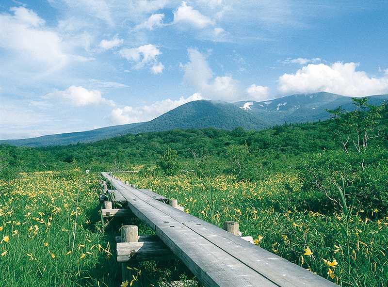 世界谷地原生花園