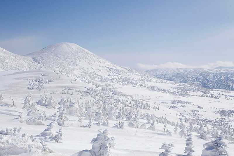 雲昌寺のあじさい