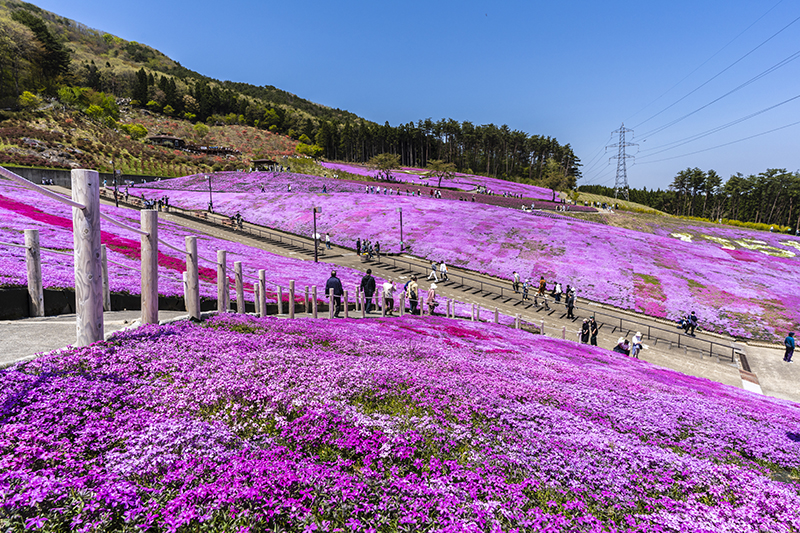 쥬피아랜드 히라타