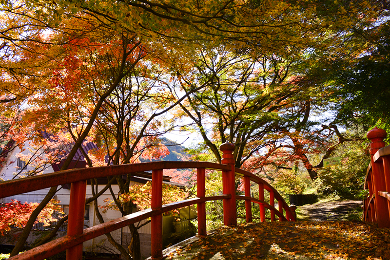 야마쓰리야마 공원