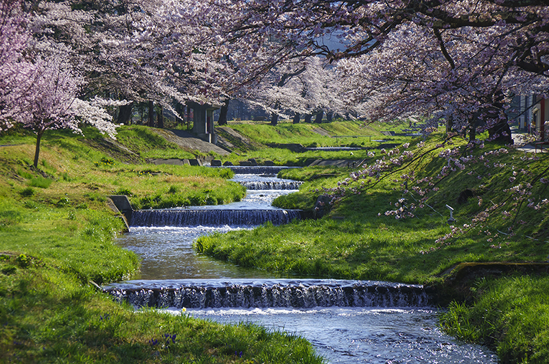 간논지가와 (간논지강)