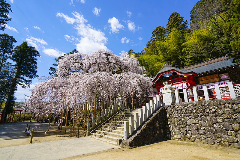 오가와 스와 신사
