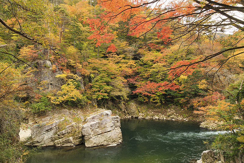 타카세가와 계곡