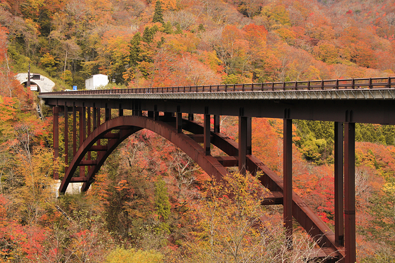 후쿠시마현 남부 지역