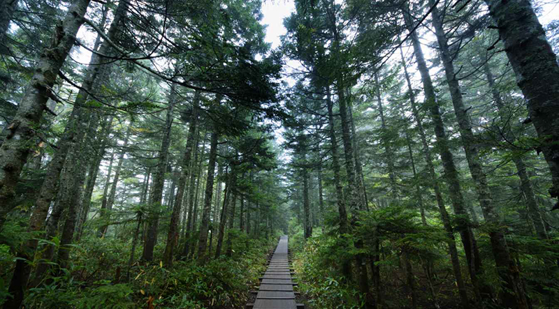 아이즈 누마타 가도