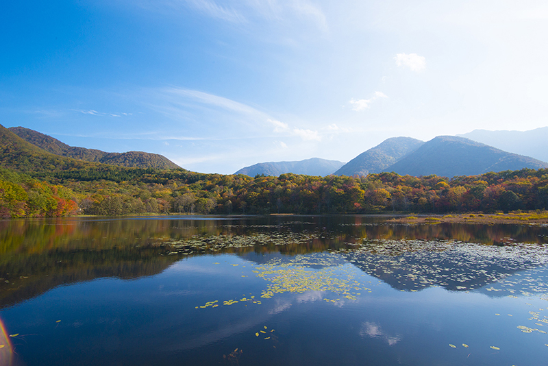 칸논누마 삼림공원