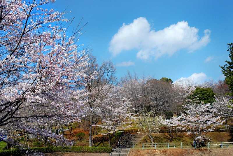 磯部桜川公園