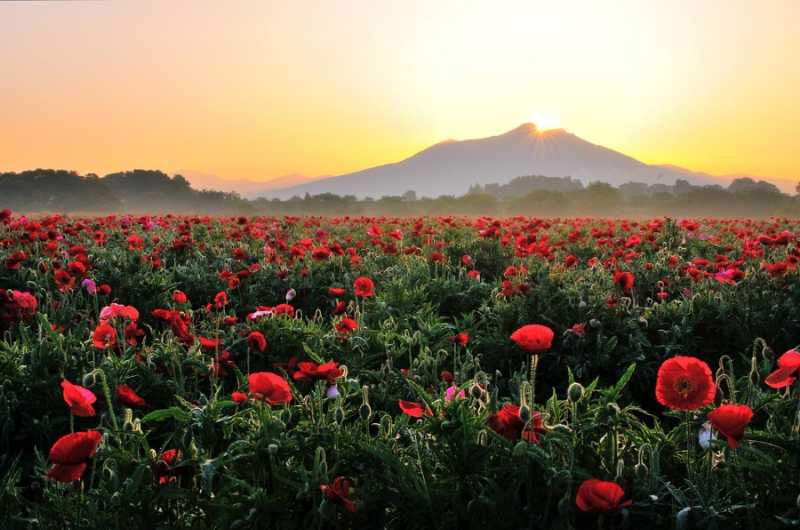 小貝川ふれあい公園