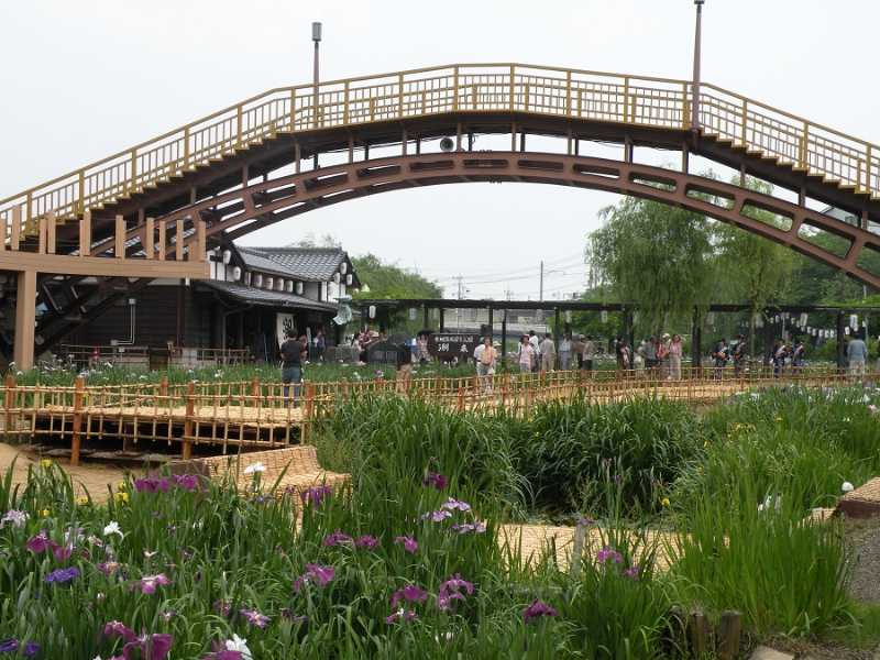 Suigo Itako Ayame Garden