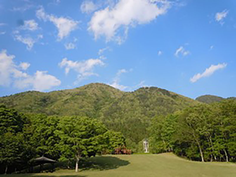 箱の森プレイパーク