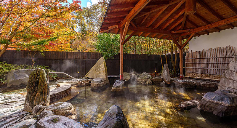 카메노이 호텔 닛코 유니시가와