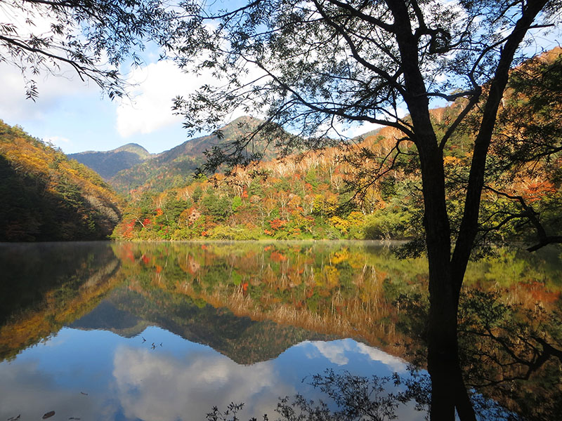 切込湖・刈込湖