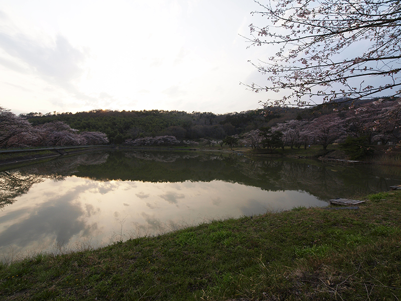 Sugashionuma Pond