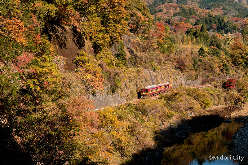 Watarase Keikoku Railway