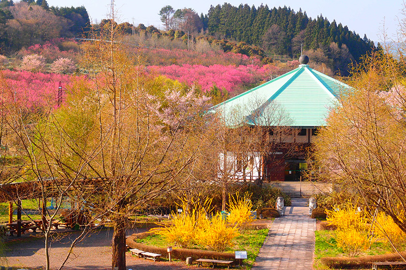 Nakanojo Gardens