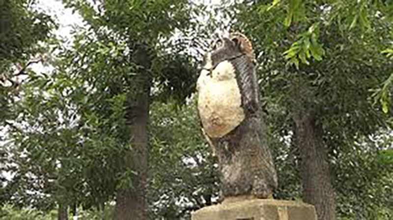 的場たぬき山公園