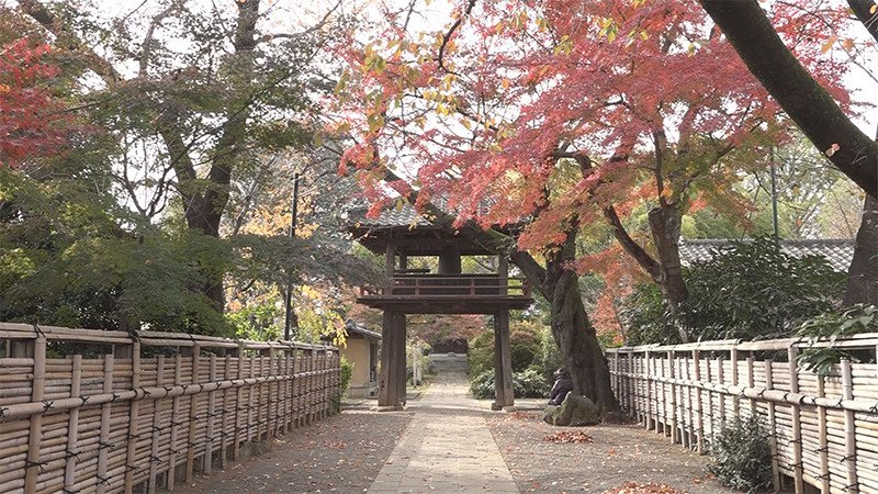 天台宗 星野山 中院