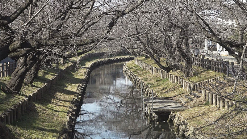 田谷堰（新河岸川）