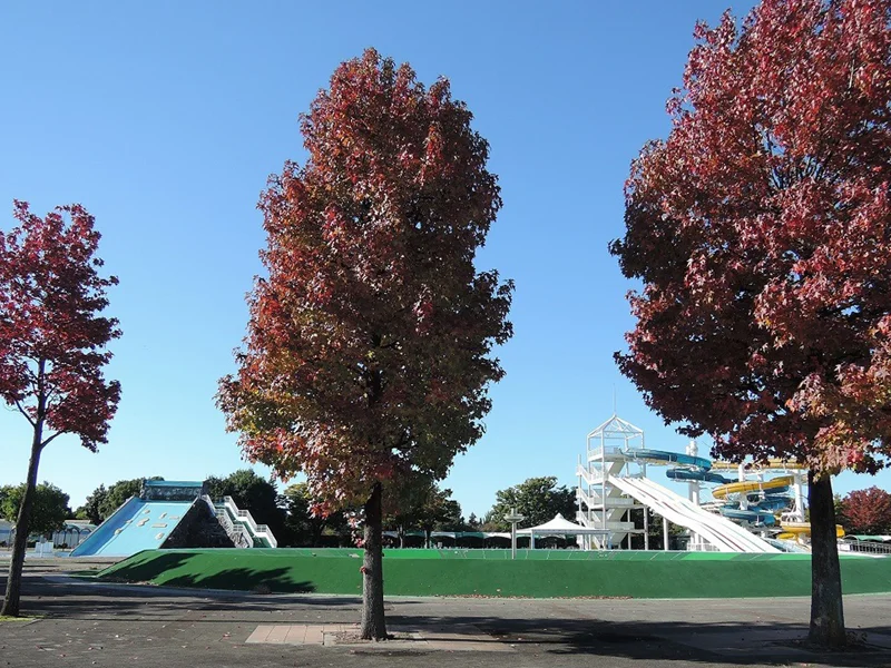 川越水上公園