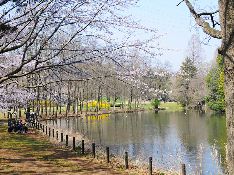 智光山公園