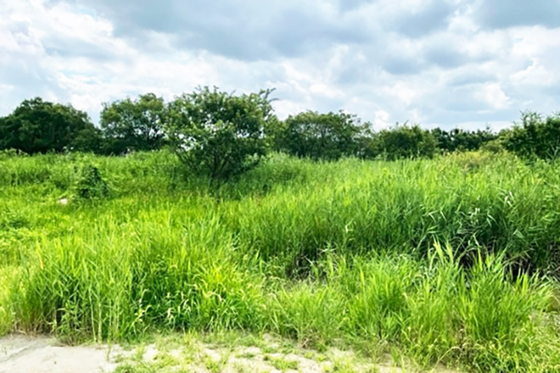 びん沼自然公園