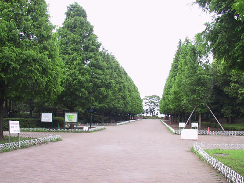 草加公園