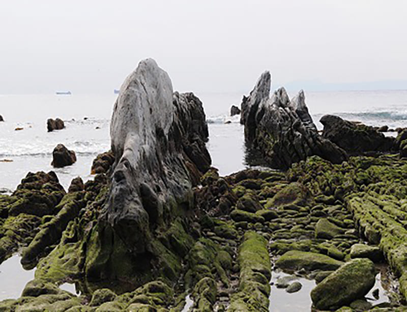 시라하마 뵤부이와