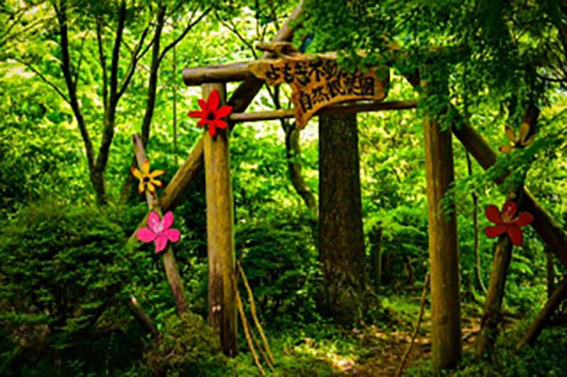 요모기 후도 폭포 자연관찰원