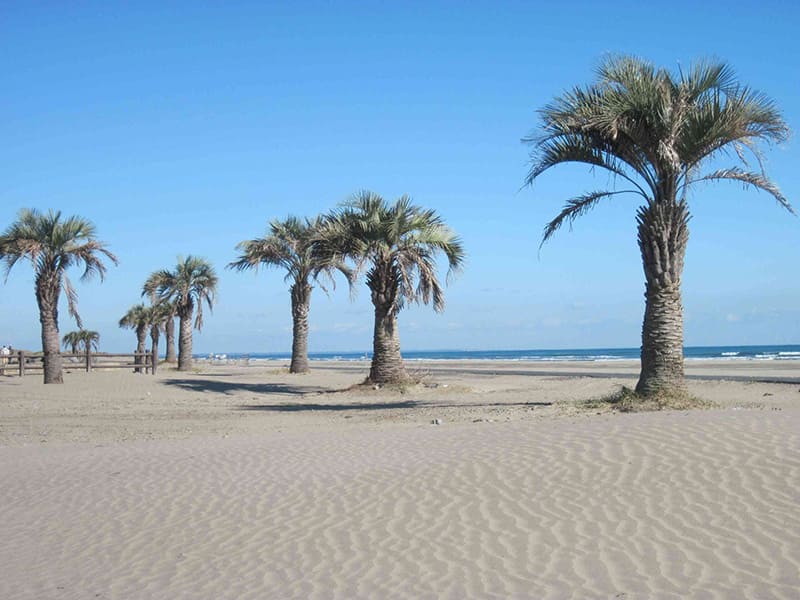 모토스가 해수욕장