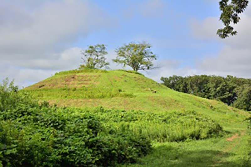 류카쿠지 고분군・이와야 고분