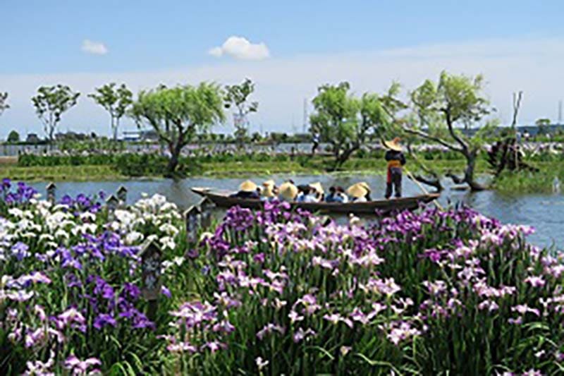 스이고 사와라 아야메 파크