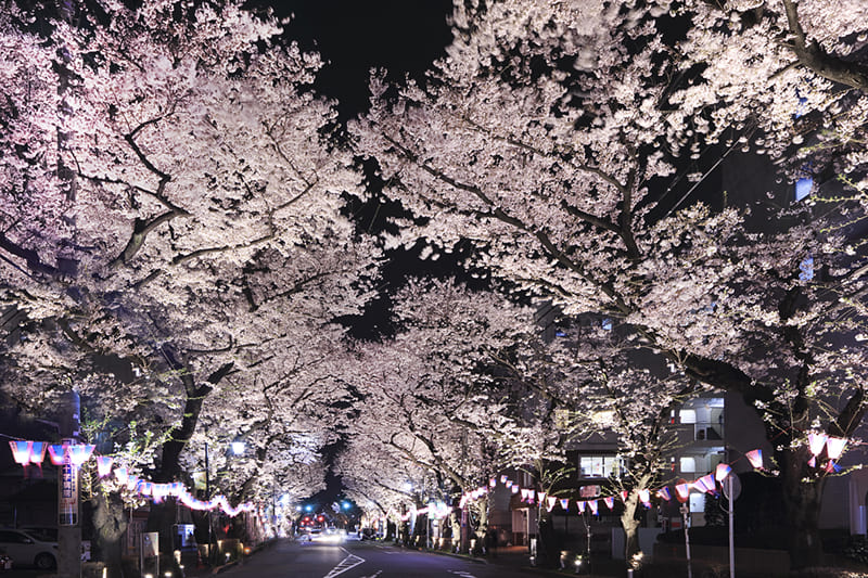 히가시무라야마시