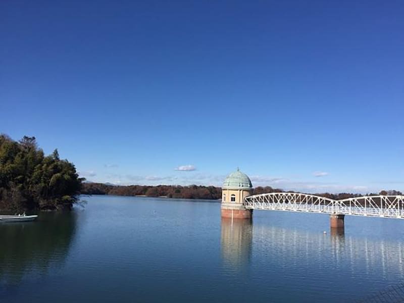 히가시야마토시