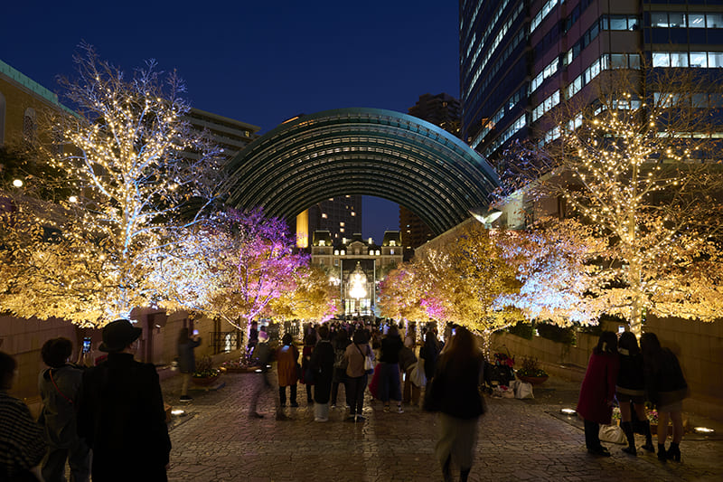 에비스 가든 플레이스