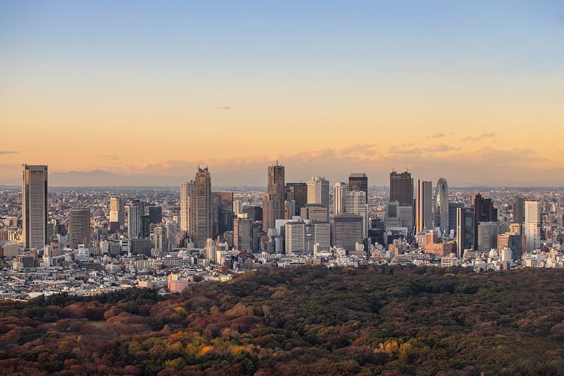 니시신주쿠 마천루 거리