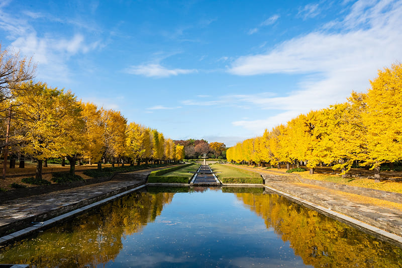 쇼와 기념 공원