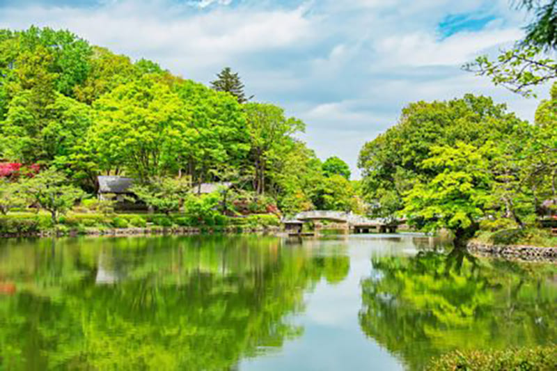 마치다 야쿠시이케 공원