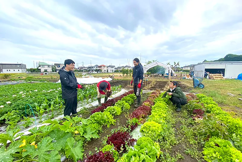 구니타치 하타켄보