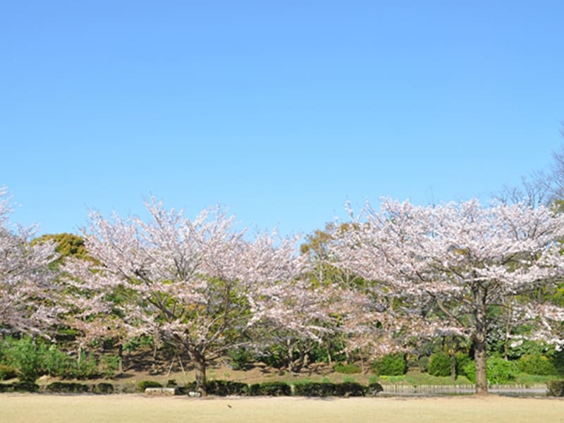 기타노마루 공원
