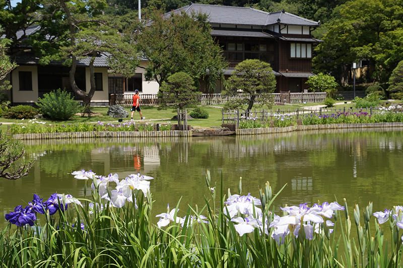 히고 호소카와 정원