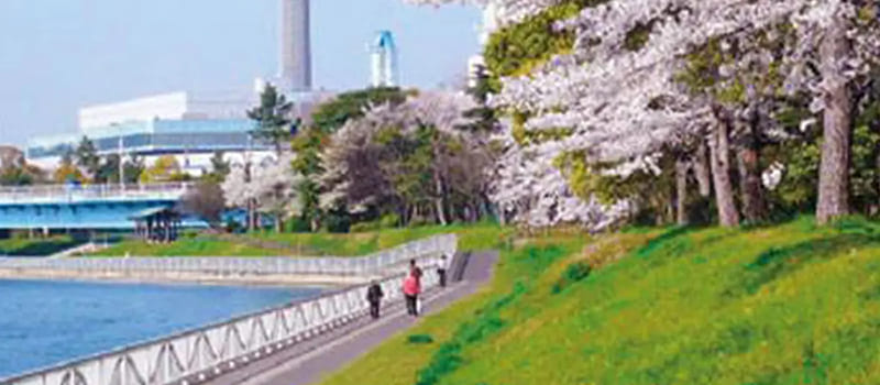 시나가와구 야시오 지역