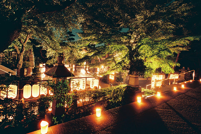 묘라이사 (요쿠인)