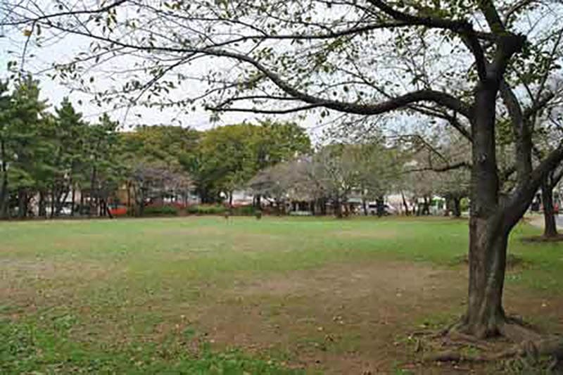 모토후치에 공원