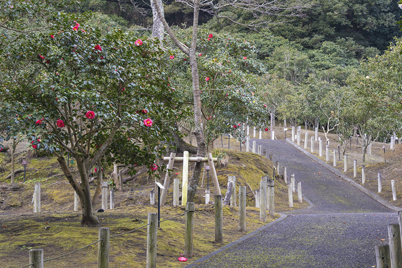 쓰바키하나 가든