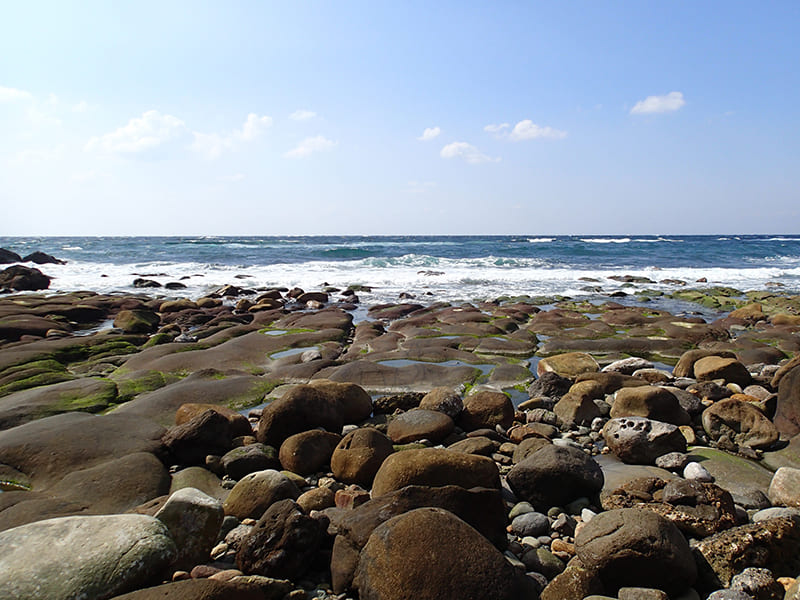 코즈시마 코하마