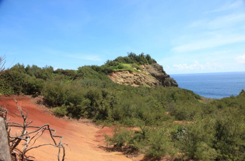 하하지마 코후지