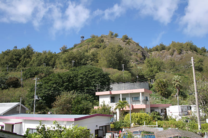 플루메리아 빌리지