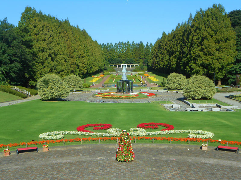 가나가와 현립 사가미하라 공원